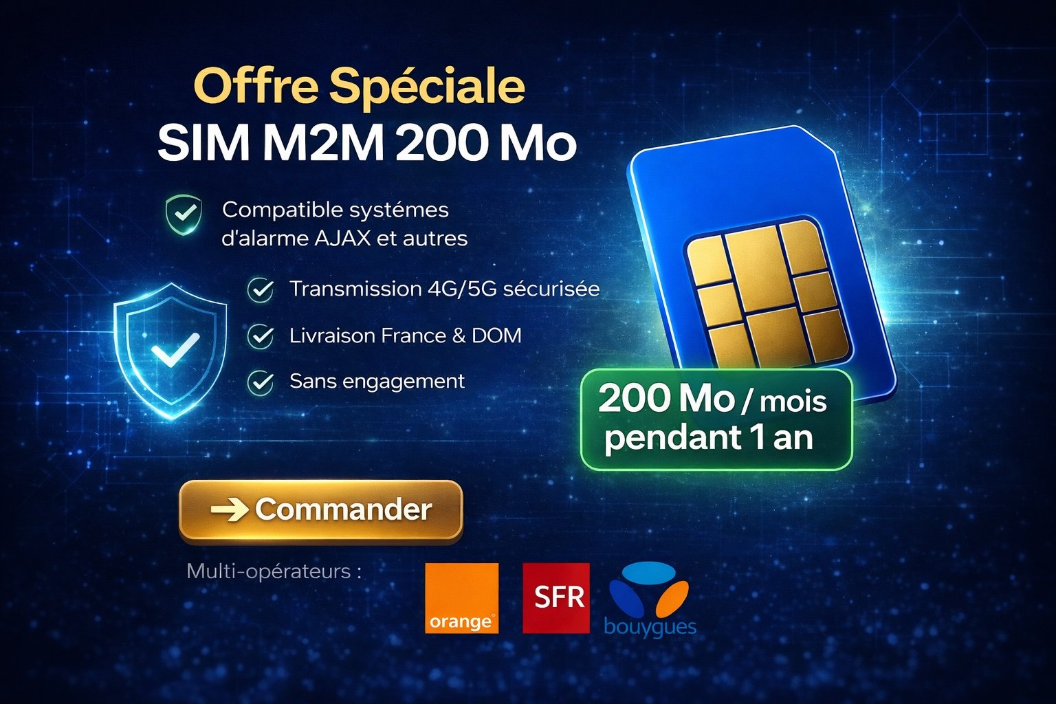 Carte SIM M2M pour Alarme